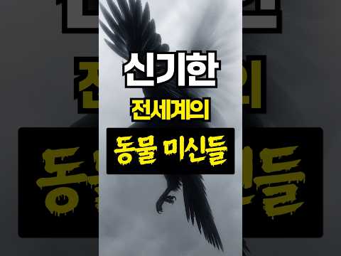 <strong>신기한</strong> 전세계의 <strong>동물</strong> 미신들