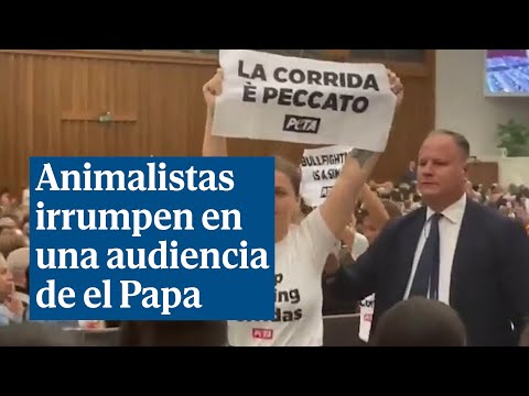 Dos activistas animalistas interrumpen la audiencia del papa Francisco