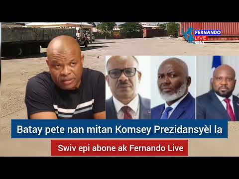 Roody Sanon sou koze Konsèy Prezidansyèl...