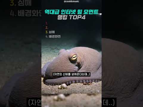 역대급 <strong>인터넷</strong> 밈 모먼트 5