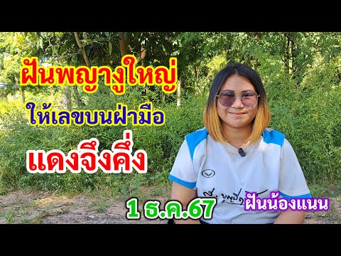 ฝันพญางูใหญ่ให้เลขบนฝ่ามือแด