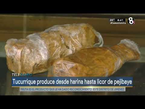 Tucurrique produce desde harina hasta licor de pejibaye