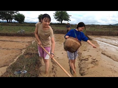 ชีวิตไม่สิ้น-ก็ต้องดิ้นกันต่อไ ชีวิตไม่สิ้น-ก็ต้องดิ้นกันต่อไ
