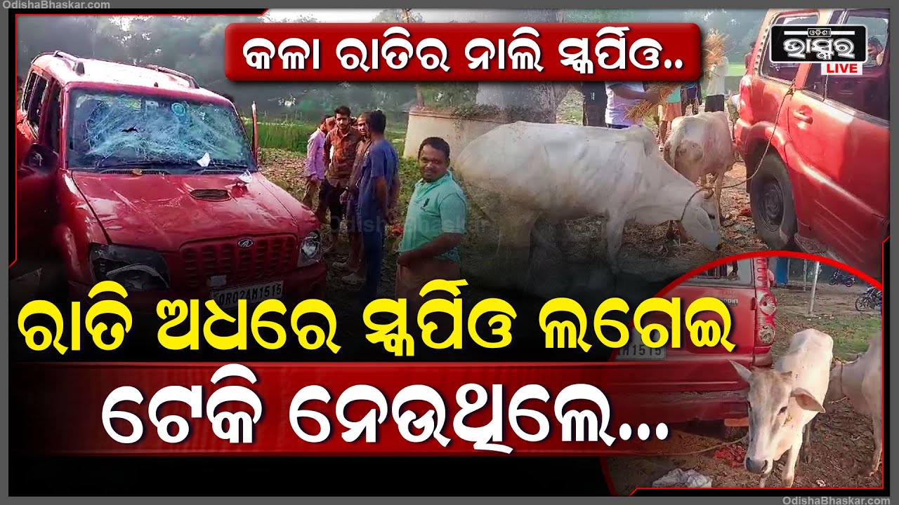 ନାଲି ସ୍କର୍ପିଓ ଲଗେଇ ରାତି ଅଧରେ ଟେକି ନେଉଥିଲେ, ମାଡ଼ିବସିଲେ ଗାଁ ଲୋକେ , ହେଲେ...