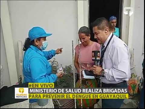 Ministerio de salud realiza brigadas para prevenir el dengue en Guayaquil