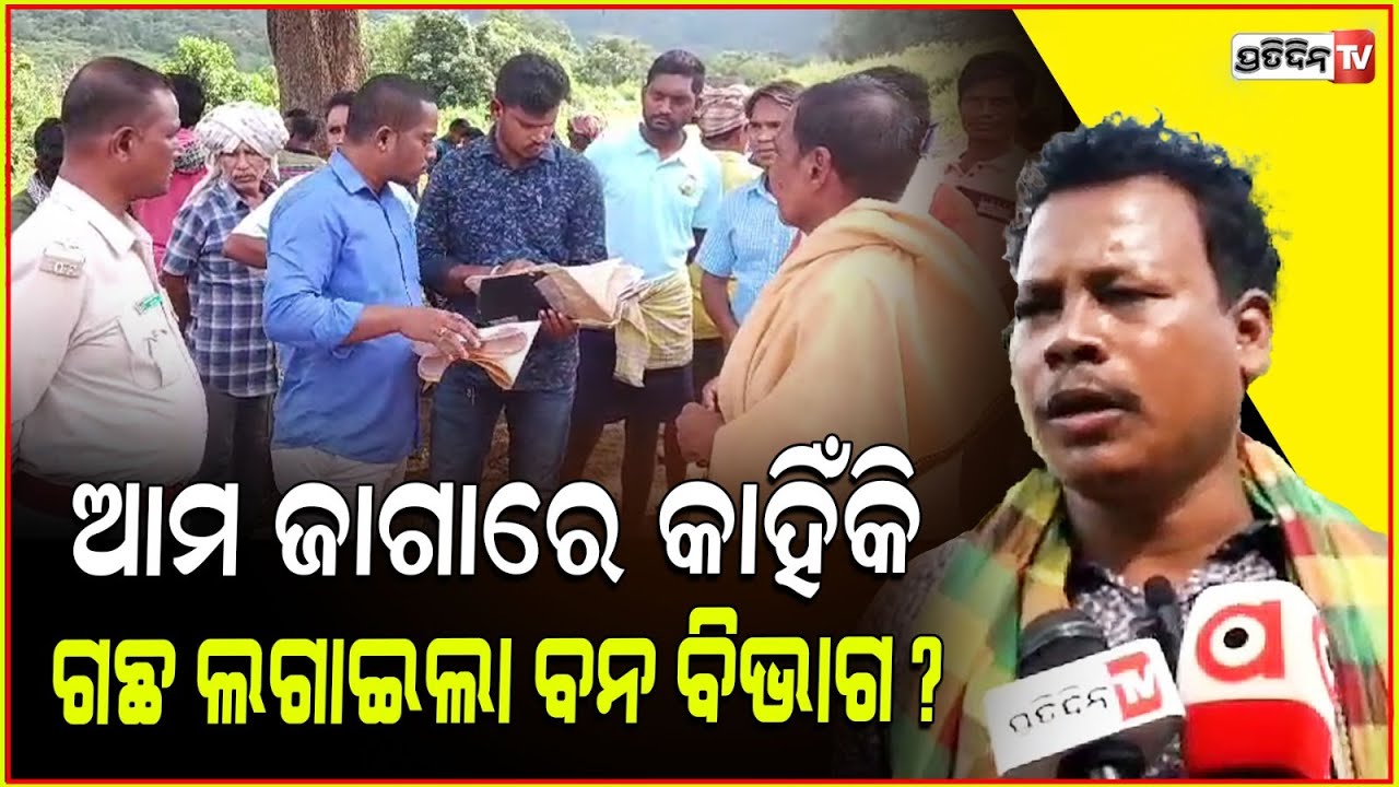 ଆଦିବାସୀଙ୍କ ପଟ୍ଟାଜମିରେ ବନ ବିଭାଗର ଚାରା ରୋପଣ ! forest dept tree plantation on adivasi land, Gajapati.