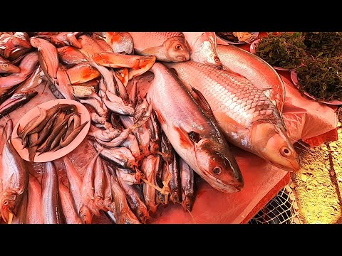 เลาะตลาดแลงท้ายเมืองนครพนม-ปลา เลาะตลาดแลงท้ายเมืองนครพนม-ปลา