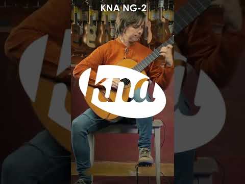 KNA Pickups: NG-2 portable pickup with volume control for nylon-string guitar #Shorts