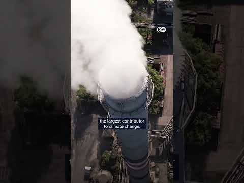 Who is funding fossil fuel expansion? | DW News