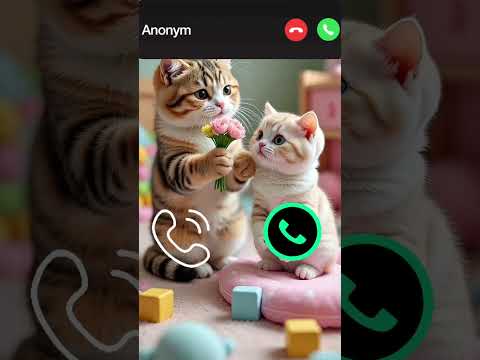 Cat Calling 😮#ringtone #cat #gato #babygirl #youtubeshorts #catlovers #viralvideo #mi #shorts