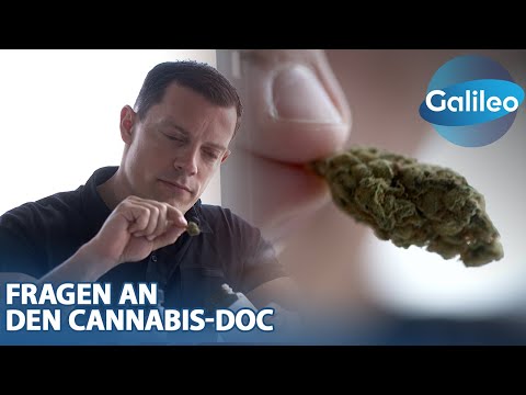 Der Cannabis-Doc & das Geschäft mit dem grünen Gold – Profitstreben oder Patientenwohl?