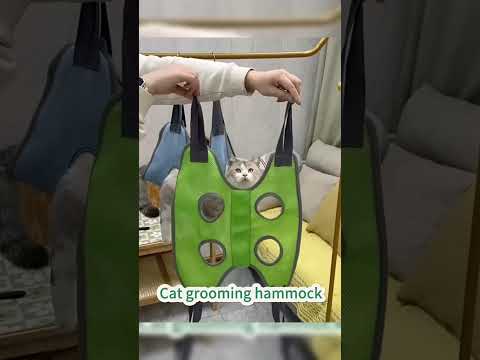 Hilarious Battle! 🏆 🔗 is in My Bio🦌 #FunnyCats