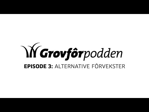 Grovfôrpodden | Episode 3 | Alternative grovfôrvekster