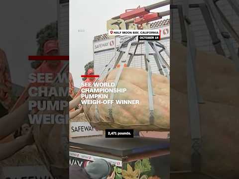 See World Championship Pumpkin Weigh-off Winner