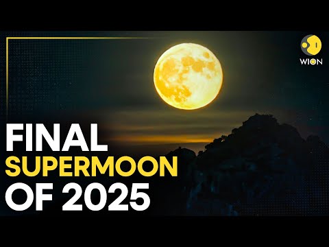 Final Supermoon Of 2025 LIVE: Last Supermoon of the Year Stuns Skywatchers | WION Live