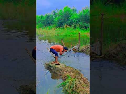Apne Gawn ki Nadi | village life india |  india Wale vlog