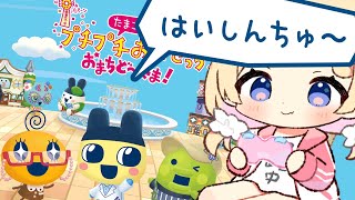 【 たまごっち】大好きなぷちぷちおみせっち♡ラップバトル！？！いっぱい癒されよ♡【Vtuber/夢星もか】