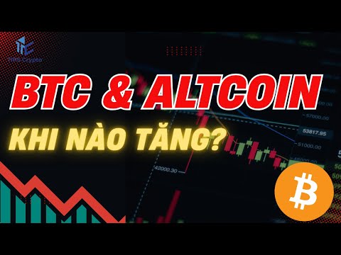 Khi nào Altcoin thực sự bùng nổ, thị trường đang hoài nghi? / Tips Crypto