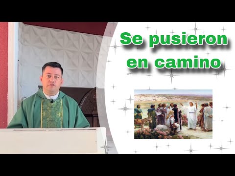 MISA DE HOY Miércoles 25 de septiembre  de 2024- Padre Ricardo Prato