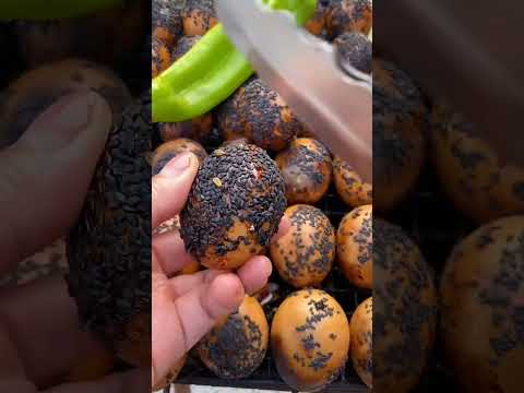 #A divine way to eat live pearls#Can be fried or grilledLive pearls #Have you ever eaten these?