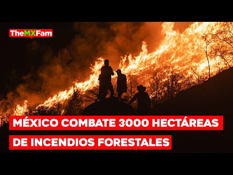 Alerta Máxima: Incendios Devoran 3.000 Hectáreas en México | TheMXFam