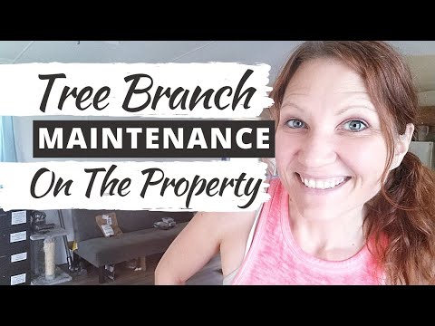 TREE BRANCH MAINTENANCE ON THE PROPERTY: Cleaning Up My Homestead!
