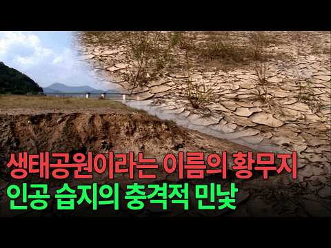 나무도 제대로 못 자라는 황무지가 된 충격적 이유 [<strong>환경스페셜</strong>-생태보고 수변습지] / KBS 20121017 방송