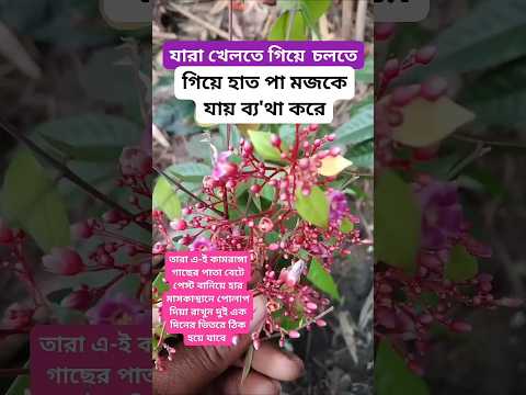 #shortvideo #shorts #motivation