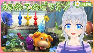 #19【雑談＆ピクミン】まったり朝活【vtuber】