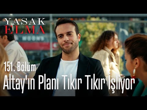 Altay'ın planı tıkır tıkır işliyor - Yasak Elma 151. Bölüm