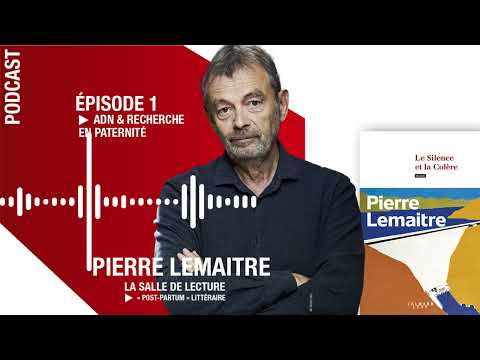 Vido de Pierre Lemaitre