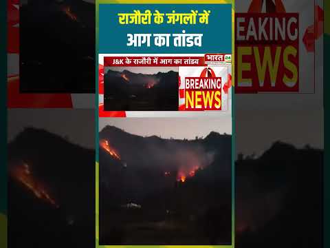 Rajouri के जंगलों में आग का तांडव | #shorts #jammukashmir #rajouri #loc #breakingnews #bharat24