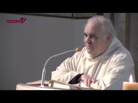 Evangelio y homilía de hoy martes 7 de mayo de 2024. Rvdo. Enric Ribas, pbro.