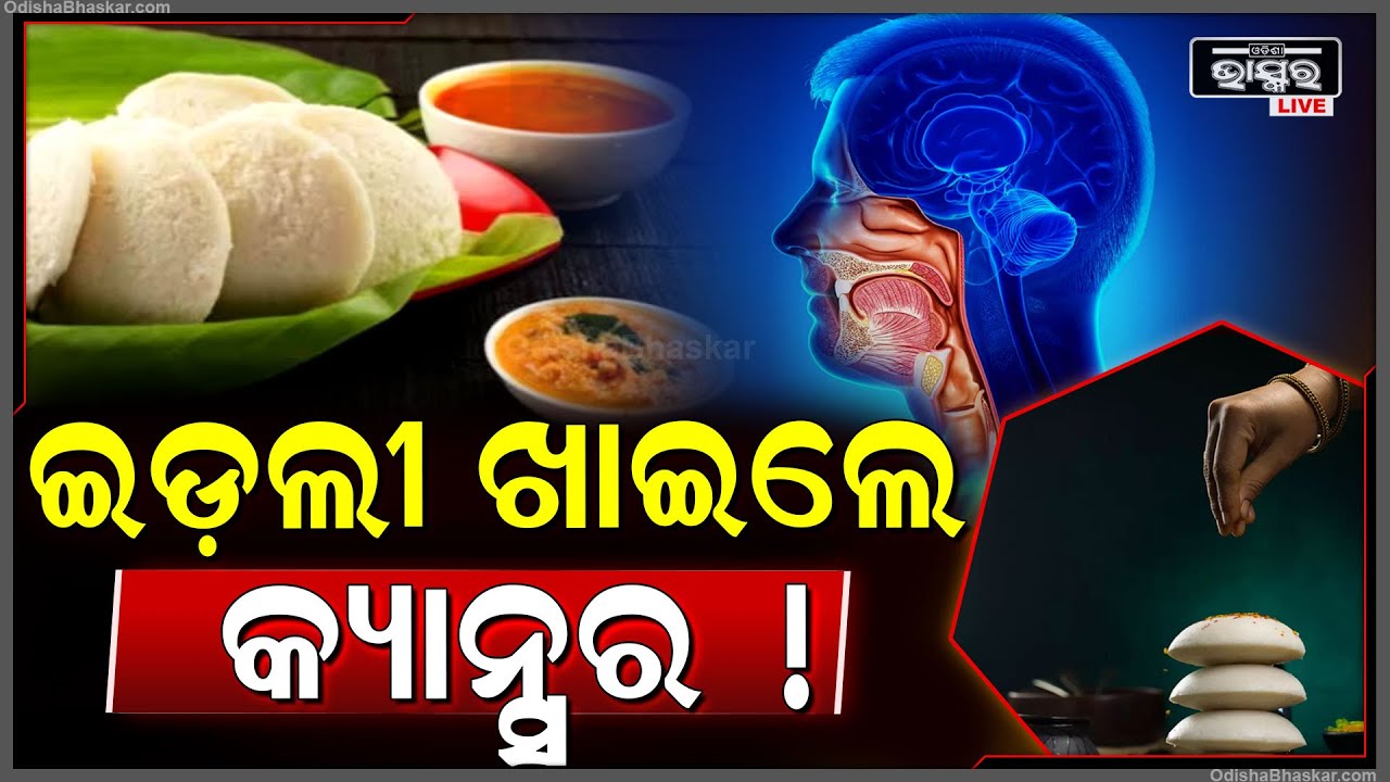 ଇଡ଼ଲୀ ଖାଇଲେ କ୍ୟାନ୍ସର ! ଜାଣନ୍ତୁ କେମିତି ? Healthy Breakfast For Morning.....