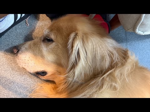 ZZZ…くちにゆびつっこんでみましょう