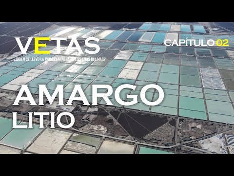 VETAS 02 | AMALIA PANDO - AMARGO LITIO | #CabildeoDigital