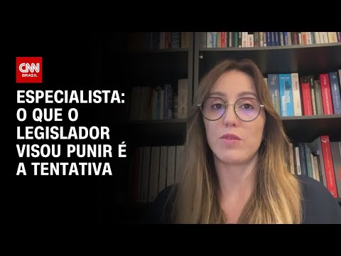 ​Especialista: O que o legislador visou punir é a tentativa | WW