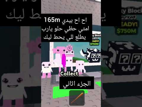 ٢٧ أكتوبر ٢٠٢٥