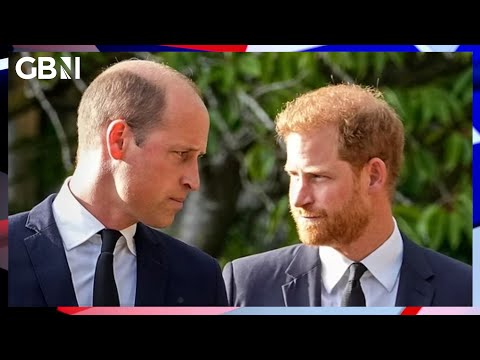 Prince Harry ranking more popular than Prince William in a recent US poll | Kinsey Schofield