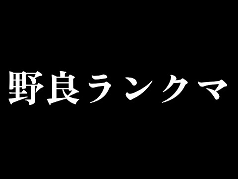 【第五人格】今日は勝ち越すことできるか昼野良ランクマ【identityV】
