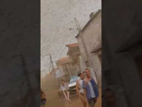 tempestade de grilos#ia#inteligenciaartificial#veo3#trend#shorts#fpy#fpyシ#fpyツ#meme#memes#viral