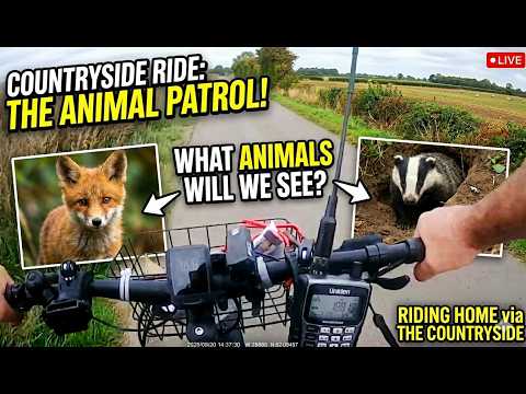 EP 2 The Simple Joys of a Countryside Cycle (And Some Local Wildlife!)