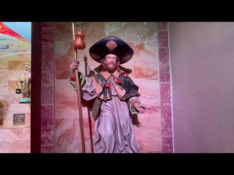 Santa Misa Solemnidad de San Pedro y San Pablo - 29/junio/2024