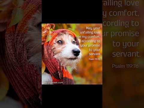 #worshipmusic #christianmusic #dailybibleverse #dog