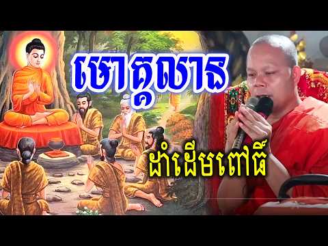 មោគ្គលានដាំដើមពៅធិ៍_🙏🌿💖សម្ដែងដោយ ៖ ព្រះវិជ្ជាកោវិទ សាន ភារ៉េត || San Pheareth