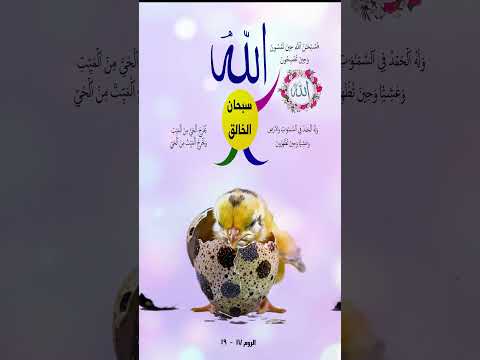 سبحان الخالق