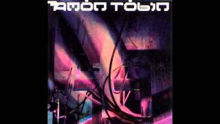 中古 Amon Tobin Permutation 2LP Amon Tobin – Permutation – 2 x Vinyl (LP, Album, Stereo