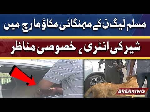 PML-N Ki Mehngai Makao March Mein Asal Lion Ki Entry | Dunya News