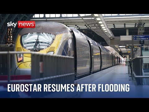 Eurostar: New Year plans derailed as travellers 'sent to back of the queue', says travel editor