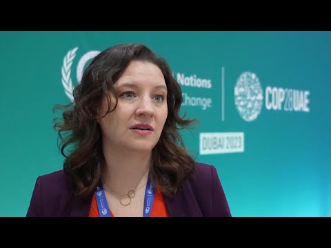 Analyst on negotiating standoff over fossil fuels at COP28 climate talks in Dubai